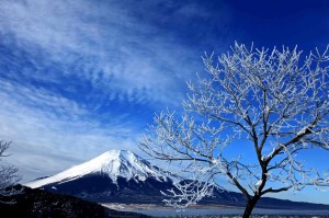 漢方の富士山