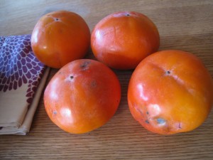 漢方の柿