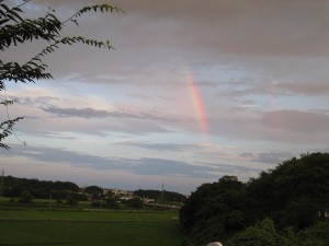 漢方の虹