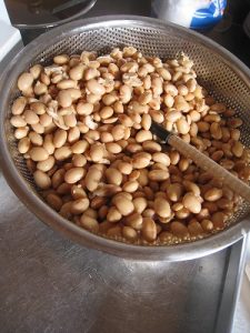 漢方の大豆