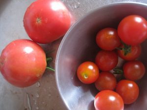 漢方のトマト