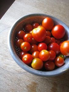 漢方のミニトマト