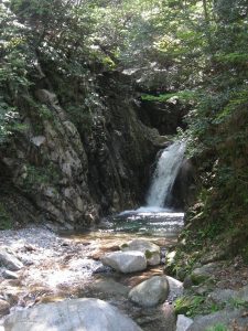 漢方の滝