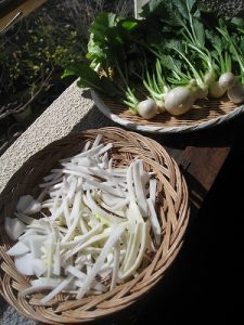 漢方の干し野菜