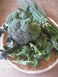 漢方のブッロコリー