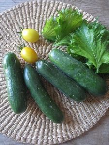 漢方の夏野菜